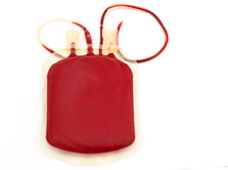 Close up back side bag of blood and plasma  group A and rubber tube on white background