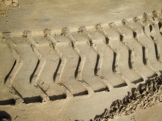Wheel tracks on the soil.