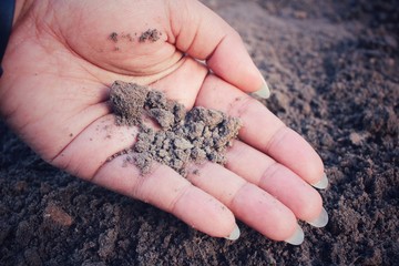 Soil on hand