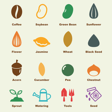 seed elements