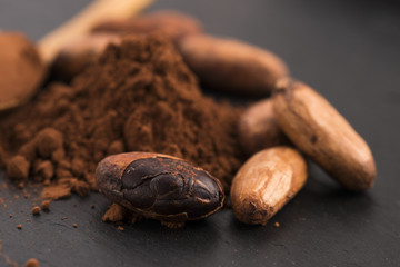 cacao beans and cacao powder in spoon