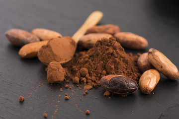 cacao beans and cacao powder in spoon