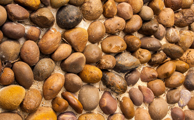 Stone Decoration Garden Texture
