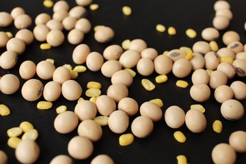 Soy beans