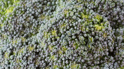 green broccoli organic vegetable, close up image