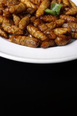 Silkworm pupae