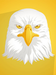 Bald Eagle Vector