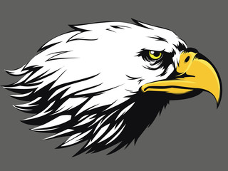 Naklejka premium Eagle Face Vector - Side View Cartoon
