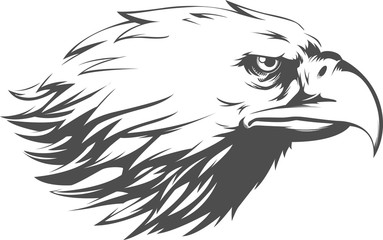 Obraz premium Eagle Head Vector - sylwetka widok z boku