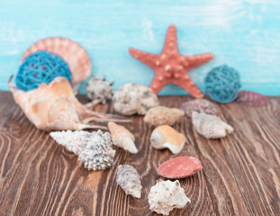 Fototapeta na wymiar Spa stuff with sea salt and shell