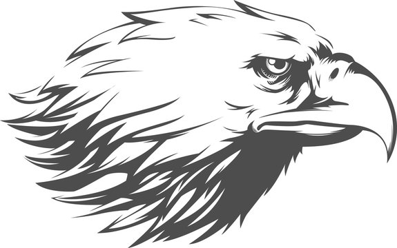 Eagle Head Vector - Side View Silhouette