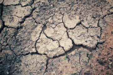 Cracked dry soil