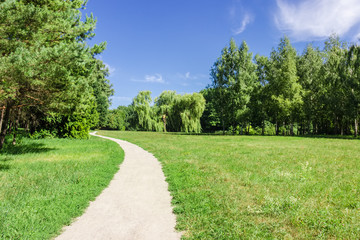 Walkway in the park next to the forest and meadow
