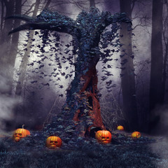Stary las z dyniami na Halloween - obrazy, fototapety, plakaty
