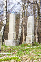Jewish cemetery, Batelov, Czech Republic