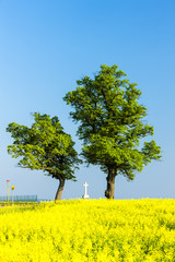 Obraz premium trees and cross with rape field, Czech Republic