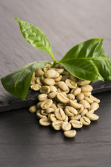 Green coffee