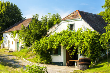 wine cellars, Oberstinkenbrunn, Lower Austria, Austria