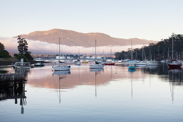 Fog Bank