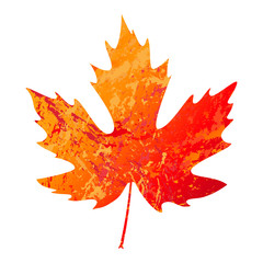 illustration of vector maple leaf in grunge style