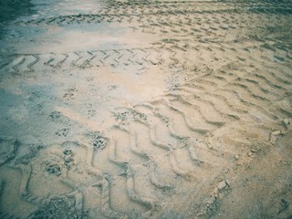 Wheel tracks on the soil.
