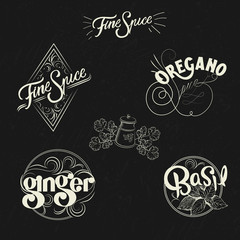 Spice logo set in vintage style. Retro hand drawn spice