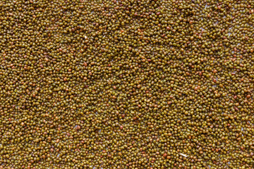 texture of cereal for background