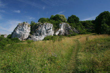 The Path Through the Meadow to the Rocks