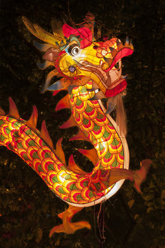 Chinese Dragon Lantern At Mid Autumn Festival