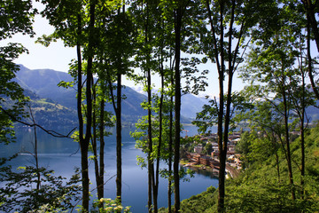 Höhenpromenade, Zell am See