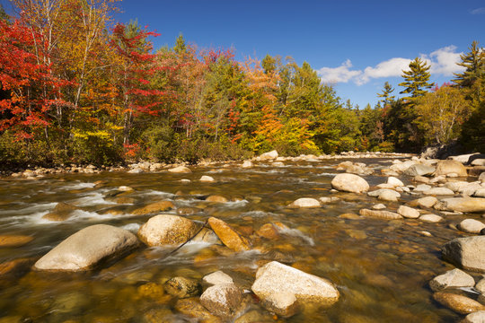 River through fall foliage, Swift River, New Hampshire, USA