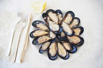 Cozze crude