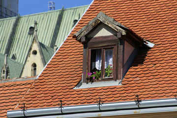 Fenster am Dach