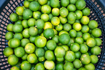 Limes in basket for sell at market.