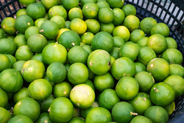 Limes in basket for sell at market.