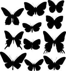 Fototapeta na wymiar set of eleven black butterfly wings shapes