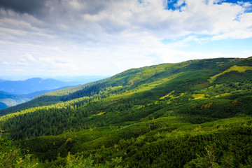 Fototapeta na wymiar The Carpathian mountain