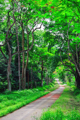  Cuc Phuong National Park in Ninh Binh, Vietnam 