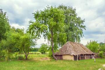 Fototapeta na wymiar Ukrainian wooden barn Thatched