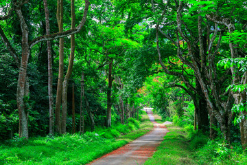  Cuc Phuong National Park in Ninh Binh, Vietnam 