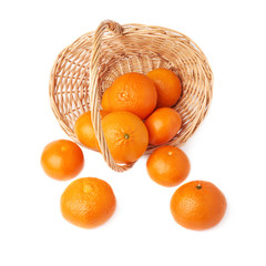 Wicker basket full of multiple ripe fresh juicy tangerines