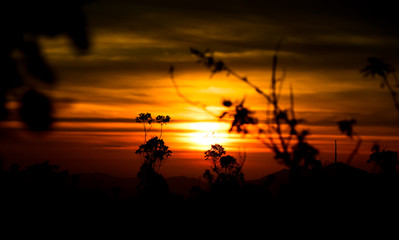 Fototapeta na wymiar Sonnenaufgang im Hochland von Sri Lanka