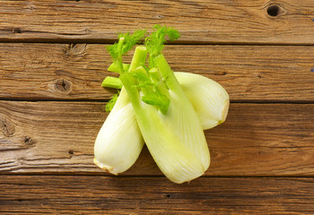fresh fennel bulbs