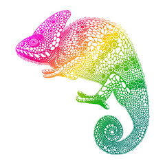 Zentangle stylized  multi coloured Chameleon. Hand Drawn Reptile - 90373762