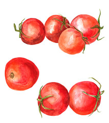 Set of  watercolor drawing tomatoes