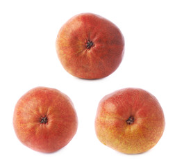 Red pear fruit isolated