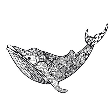 Zentangle stylized Sea Whale. Hand Drawn vector illustration iso