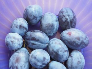 Prune fruits