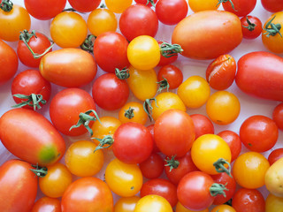 Tomato vegetables