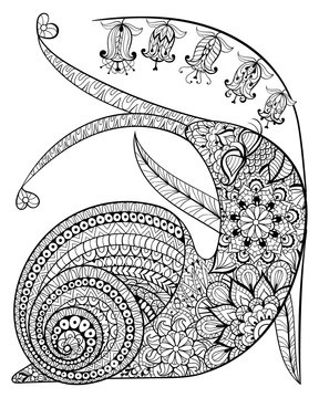 Hand drawn contented Snail and flower for adult anti stress Colo